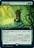 【JPN】報奨の宮廷/Court of Bounty[MTG_CMR_676R]