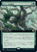 【JPN】カマールの意志/Kamahl's Will[MTG_CMR_680R]