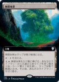 【JPN】★Foil★無限地帯/Myriad Landscape[MTG_CMR_706U]