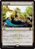 【JPN】野生の賛歌/Hymn of the Wilds[MTG_CN2_007M]