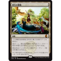 画像1: 【JPN】野生の賛歌/Hymn of the Wilds[MTG_CN2_007M]