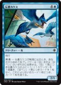 【JPN】伝書カケス/Messenger Jays[MTG_CN2_035C]