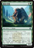 【JPN】捕食の欲動/Animus of Predation[MTG_CN2_060U]