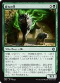 【JPN】群れの牙/Fang of the Pack[MTG_CN2_065U]