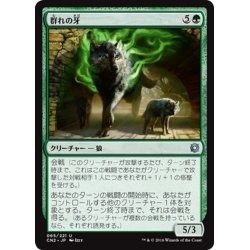 画像1: 【JPN】群れの牙/Fang of the Pack[MTG_CN2_065U]