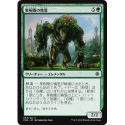 画像1: 【JPN】果樹園の精霊/Orchard Elemental[MTG_CN2_068C]