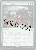 【JPN】セルヴァラの暴走/Selvala's Stampede[MTG_CN2_071R]