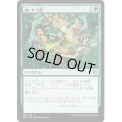 画像1: 【JPN】内にいる獣/Beast Within[MTG_CN2_174U]