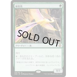 画像1: 【JPN】極楽鳥/Birds of Paradise[MTG_CN2_176R]