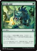 【JPN】抑え難い餌食/Irresistible Prey[MTG_CN2_183U]