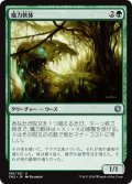 【JPN】魔力軟体/Manaplasm[MTG_CN2_186U]