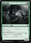 【JPN】網投げ蜘蛛/Netcaster Spider[MTG_CN2_188C]