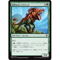 画像1: 【JPN】貪欲なるレウクロッタ/Ravenous Leucrocota[MTG_CN2_192C]