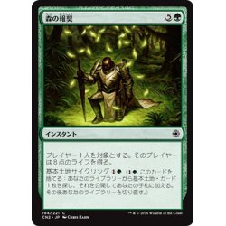 画像1: 【JPN】森の報奨/Sylvan Bounty[MTG_CN2_194C]