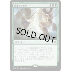 画像1: 【JPN】野生のつがい/Wild Pair[MTG_CN2_196R]