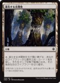 【JPN】進化する未開地/Evolving Wilds[MTG_CN2_218C]