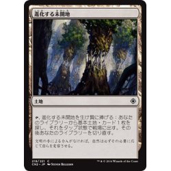 画像1: 【JPN】進化する未開地/Evolving Wilds[MTG_CN2_218C]