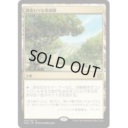 画像1: 【JPN】風変わりな果樹園/Exotic Orchard[MTG_CN2_219R]