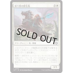 画像1: 【JPN】煌々野の野生馬/Brightfield Mustang [MTG_DFT_0005_C]