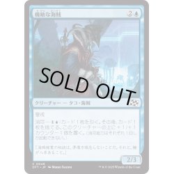 画像1: 【JPN】機敏な海賊/Keen Buccaneer [MTG_DFT_0048_C]