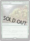 【JPN】世界軟泥の進撃/March of the World Ooze [MTG_DFT_0169_M]