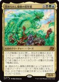 【JPN】崇められし擬態の原形質/Mimeoplasm, Revered One [MTG_DFT_0214_M]