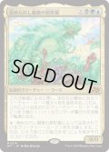 【JPN】崇められし擬態の原形質/Mimeoplasm, Revered One [MTG_DFT_0214_M]