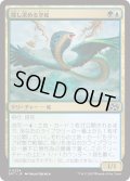 【JPN】探し求める空蛇/Skyserpent Seeker [MTG_DFT_0224_U]