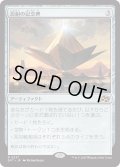 【JPN】忍耐の記念碑/Monument to Endurance [MTG_DFT_0237_R]