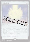 【JPN】光輝の睡蓮/Radiant Lotus [MTG_DFT_0240_M]