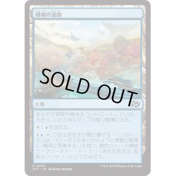 画像1: 【JPN】珊瑚の道路/Reef Roads [MTG_DFT_0259_U]