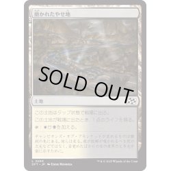 画像1: 【JPN】磨かれたやせ地/Scoured Barrens [MTG_DFT_0263_C]