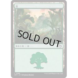 画像1: 【JPN】★Foil★森/Forest No.289 [MTG_DFT_0289_C]