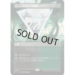 画像1: 【JPN】ウェイストウッドの境界/Wastewood Verge [MTG_DFT_0374_R]