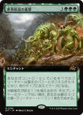 【JPN】世界軟泥の進撃/March of the World Ooze [MTG_DFT_0388_M]