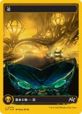 【JPN】★ファーストプレイス・Foil★沼/Swamp[MTG_DFT_0509_C]