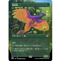 画像1: 【JPN】★Foil★極楽鳥/Birds of Paradise[MTG_DMR_439R]