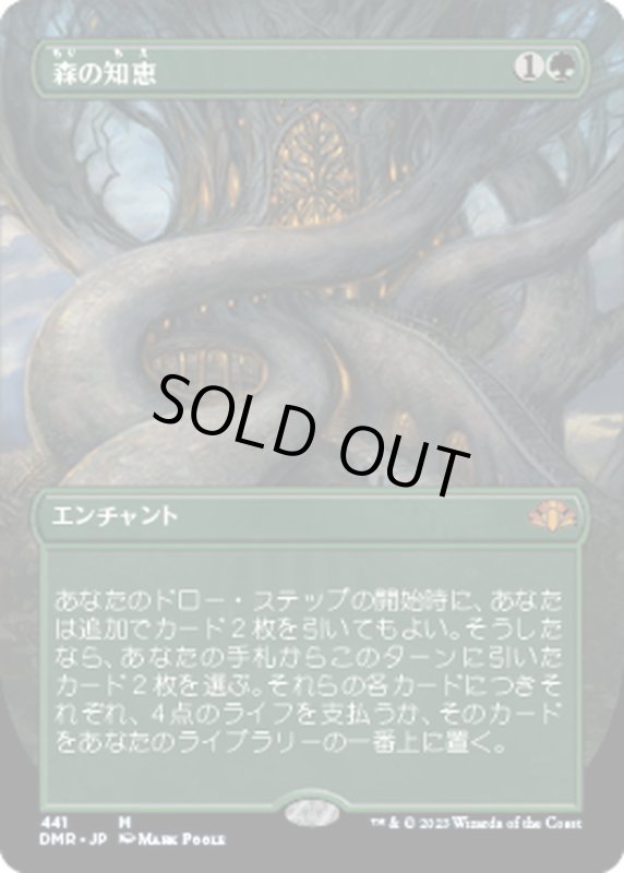 画像1: 【JPN】森の知恵/Sylvan Library[MTG_DMR_441M] (1)