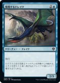 【JPN】飛翔するドレイク/Soaring Drake[MTG_DMU_066C]