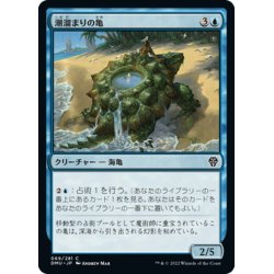 画像1: 【JPN】潮溜まりの亀/Tidepool Turtle[MTG_DMU_069C]