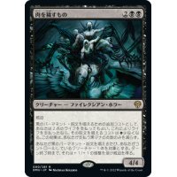 【JPN】肉を穢すもの/Defiler of Flesh[MTG_DMU_090R]