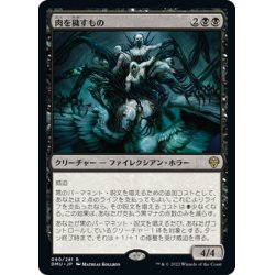 画像1: 【JPN】肉を穢すもの/Defiler of Flesh[MTG_DMU_090R]