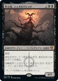 【JPN】★プロモスタンプ★黙示録、シェオルドレッド/Sheoldred, the Apocalypse[MTG_DMU_107M]