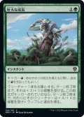 【JPN】壮大な成長/Colossal Growth[MTG_DMU_158C]