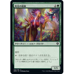 画像1: 【JPN】死花の庭師 /Deathbloom Gardener [MTG_DMU_159C]