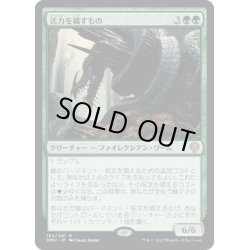 画像1: 【JPN】★Foil★活力を穢すもの/Defiler of Vigor[MTG_DMU_160R]