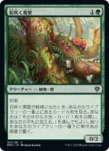 【JPN】花咲く蔦壁/Floriferous Vinewall[MTG_DMU_163C]