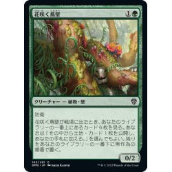 画像1: 【JPN】花咲く蔦壁/Floriferous Vinewall[MTG_DMU_163C]