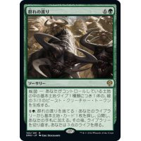 【JPN】群れの渡り/Herd Migration[MTG_DMU_165R]