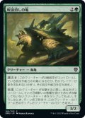 【JPN】呪詛消しの亀/Hexbane Tortoise[MTG_DMU_166C]